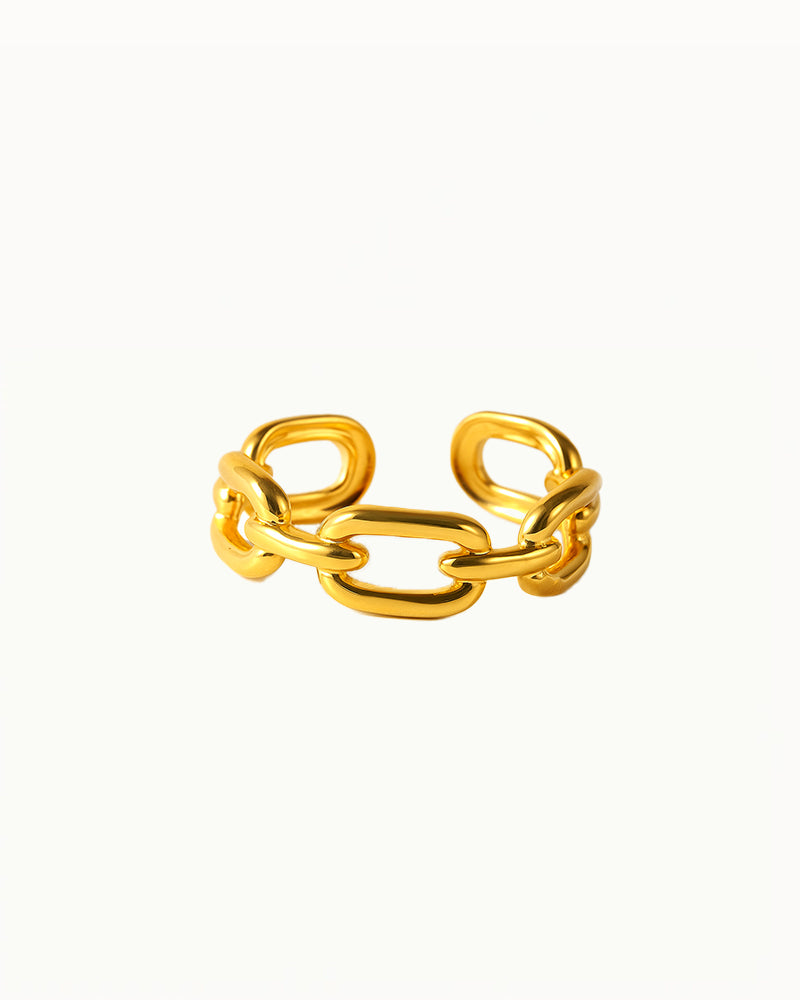 Golden Link Ring - Adjustable - Winnie - R45