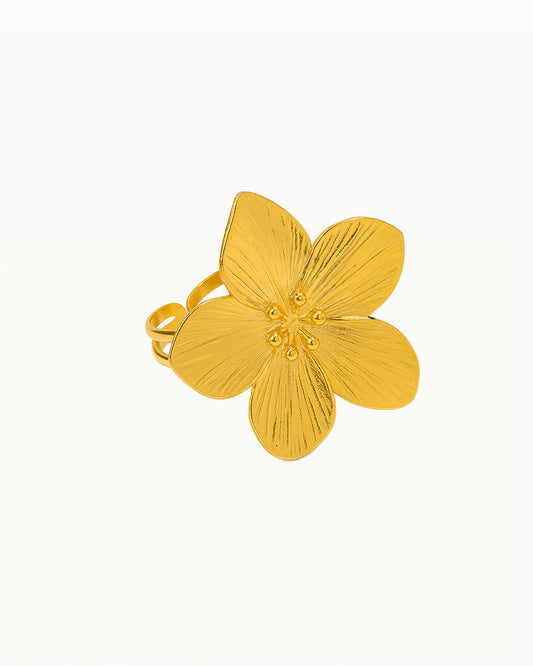 Énoncé Bloem Anneau - Rachella - R46
