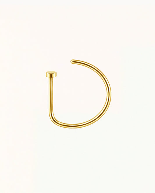 Minimalistisches Nasenpiercing - Jillian